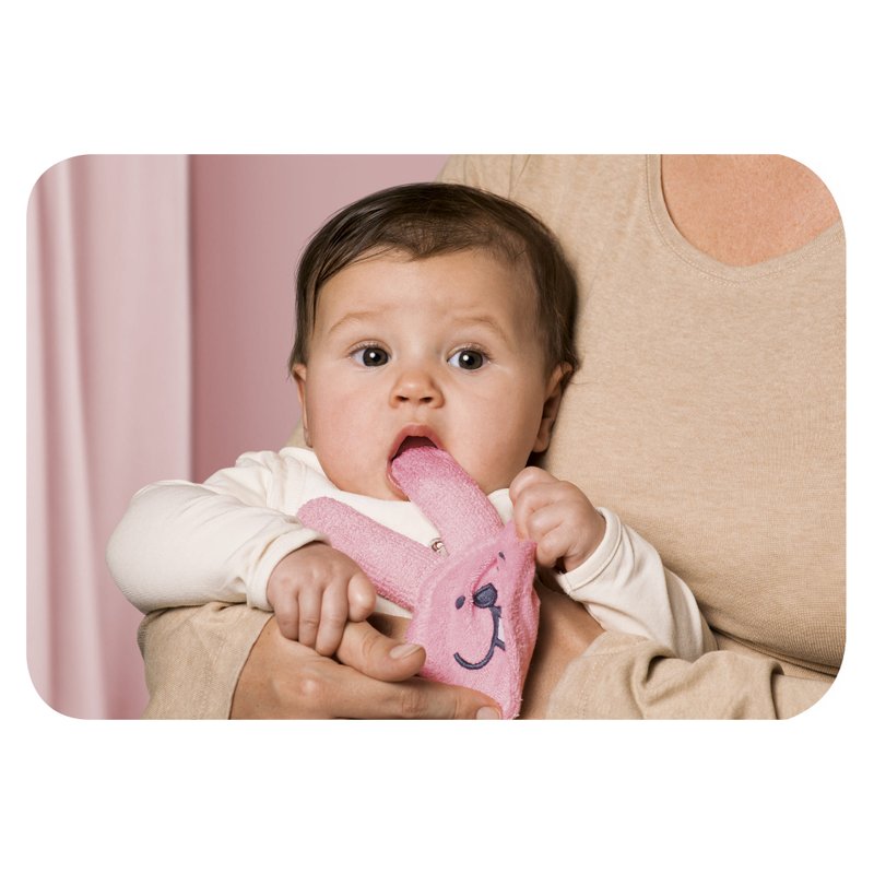 oral care rabbit pink girl1 300dpi 1 1