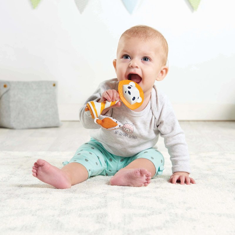 1115800 tnl leonardo teether rattle tiny251118n 150