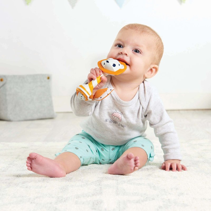 1115800 tnl leonardo teether rattle tiny251118n 151