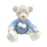 urso revelacao azul 01
