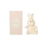 06 pelucia bup baby bunny com caixa 0m